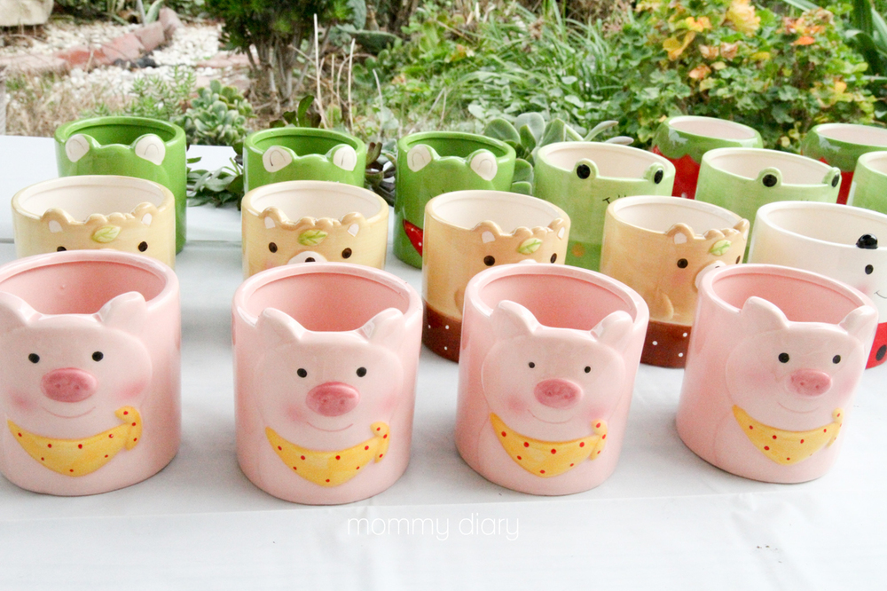 Cute character pots from Daiso. I gave these away as favors.