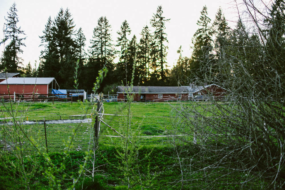 Along a hiking trail