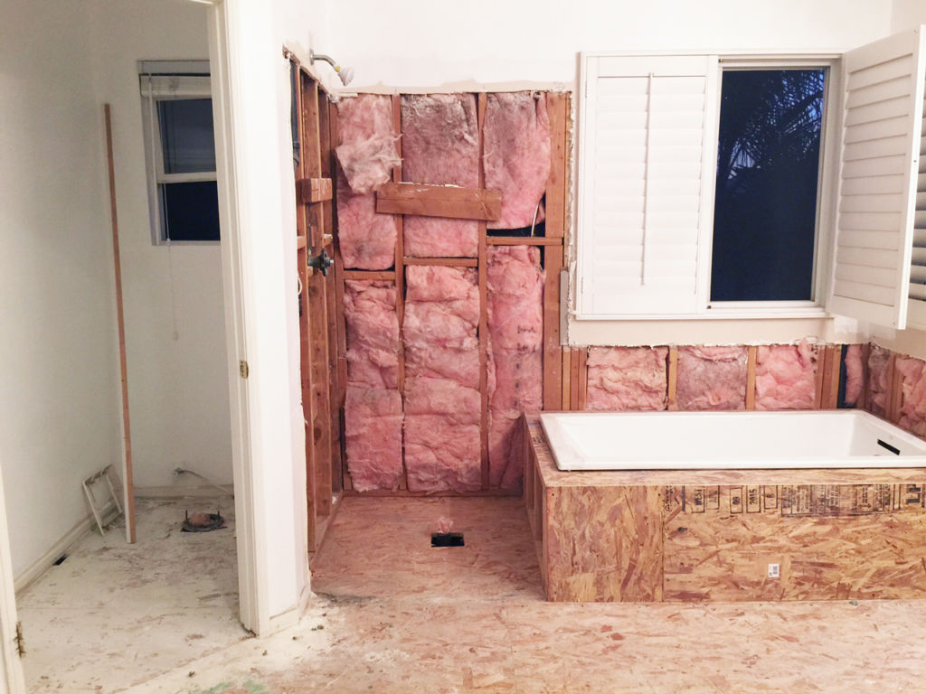 bathroom-in-progress