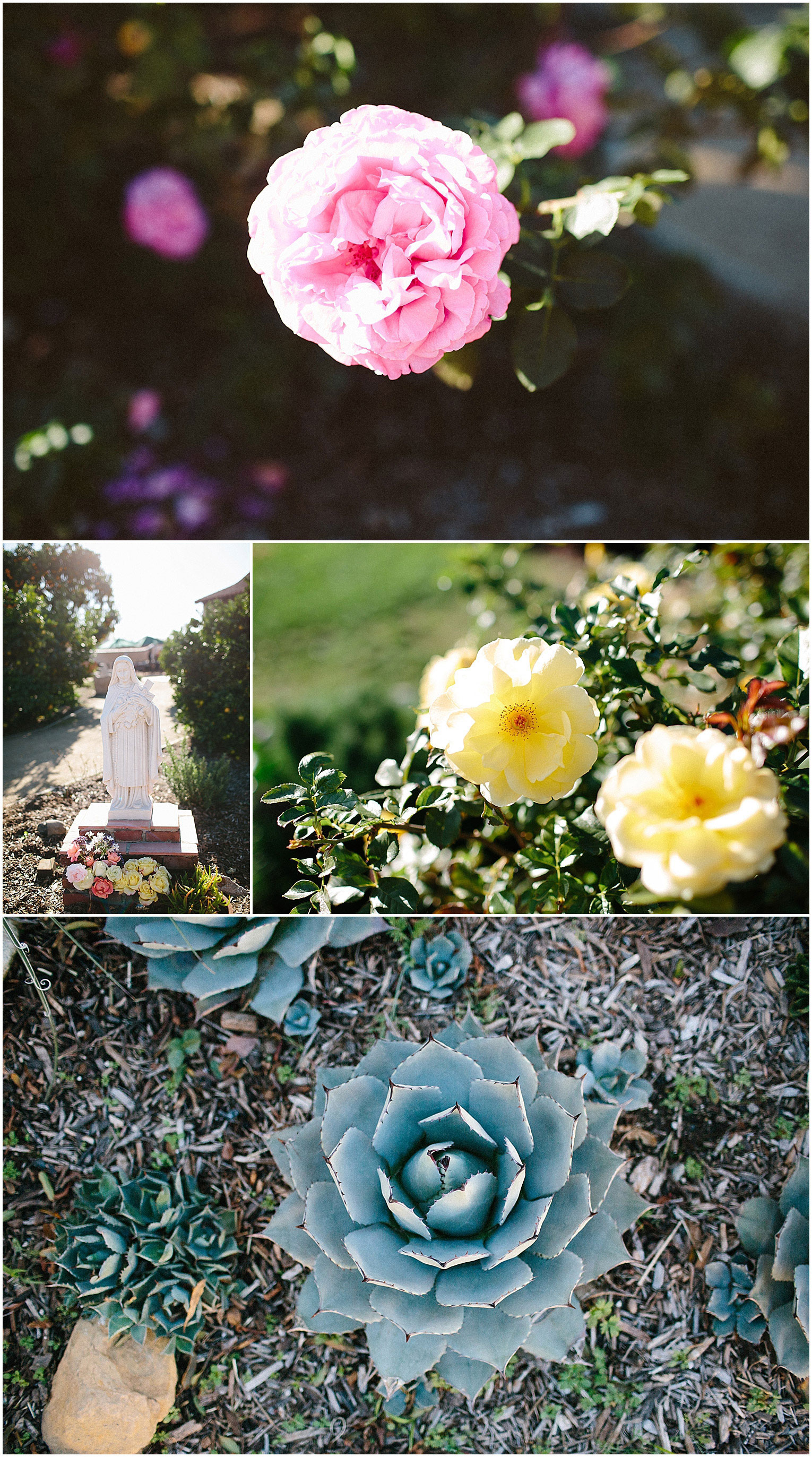 Whimsical Mother Earth Flowers mef 2000 in San Juan Capistrano, CA