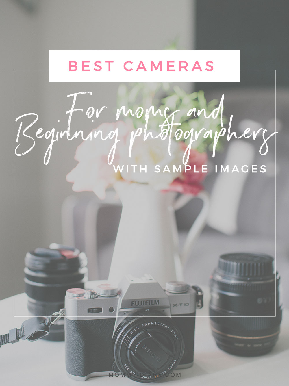 Best Cameras For Moms And Beginning Photographers