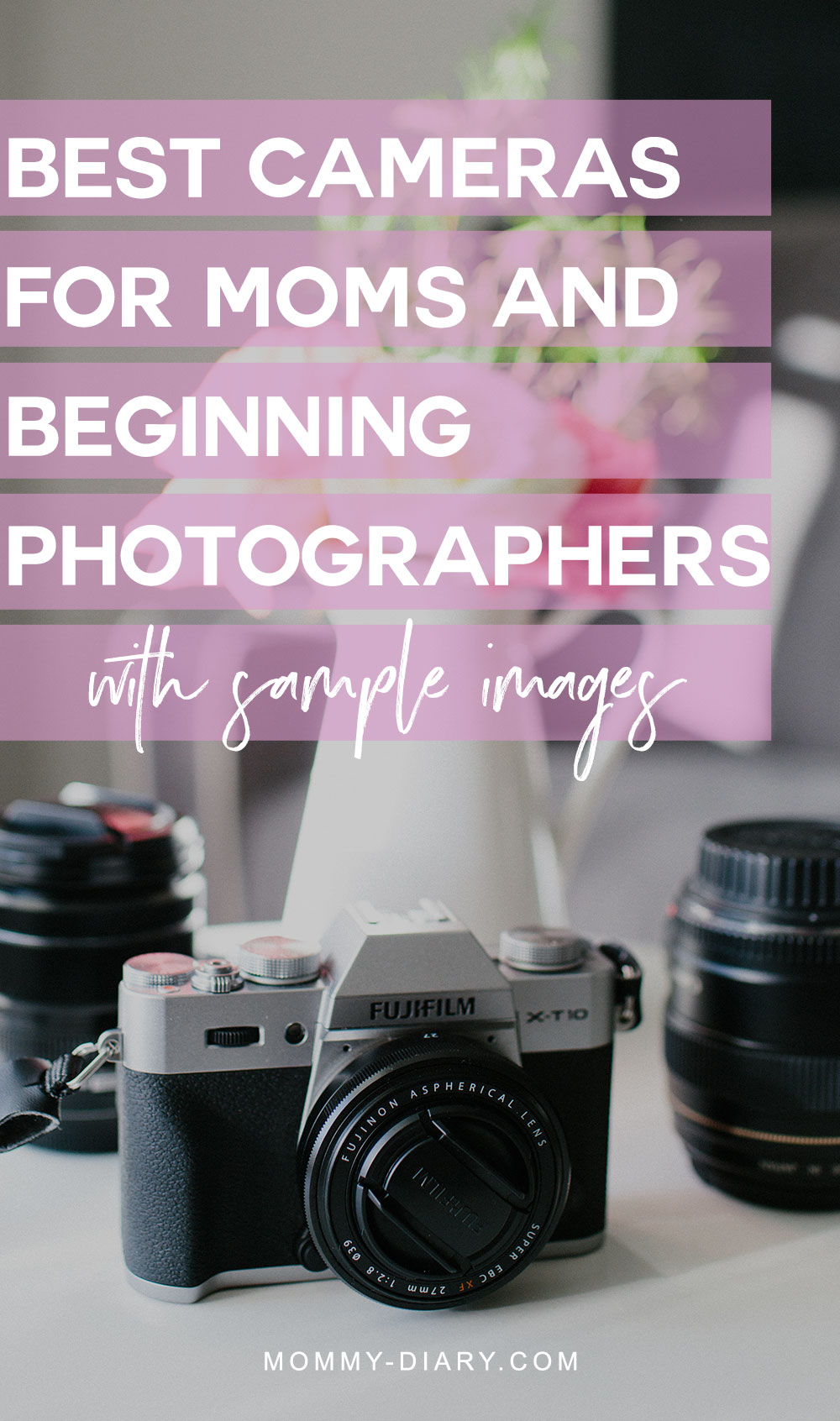 Best Cameras For Moms And Beginning Photographers