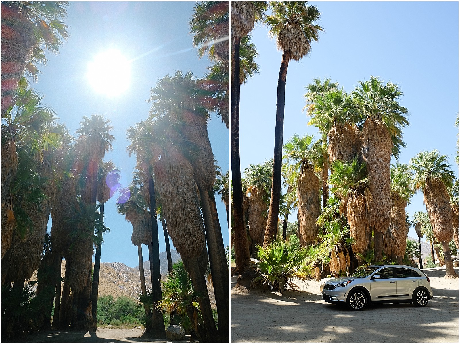 road-trip-palm-springs-kia-niro