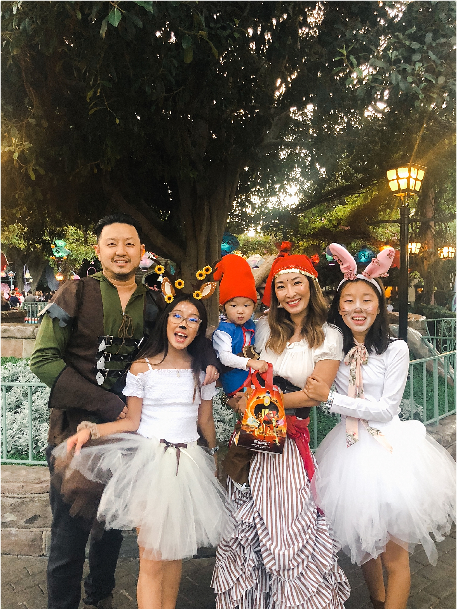 family costumes for 4