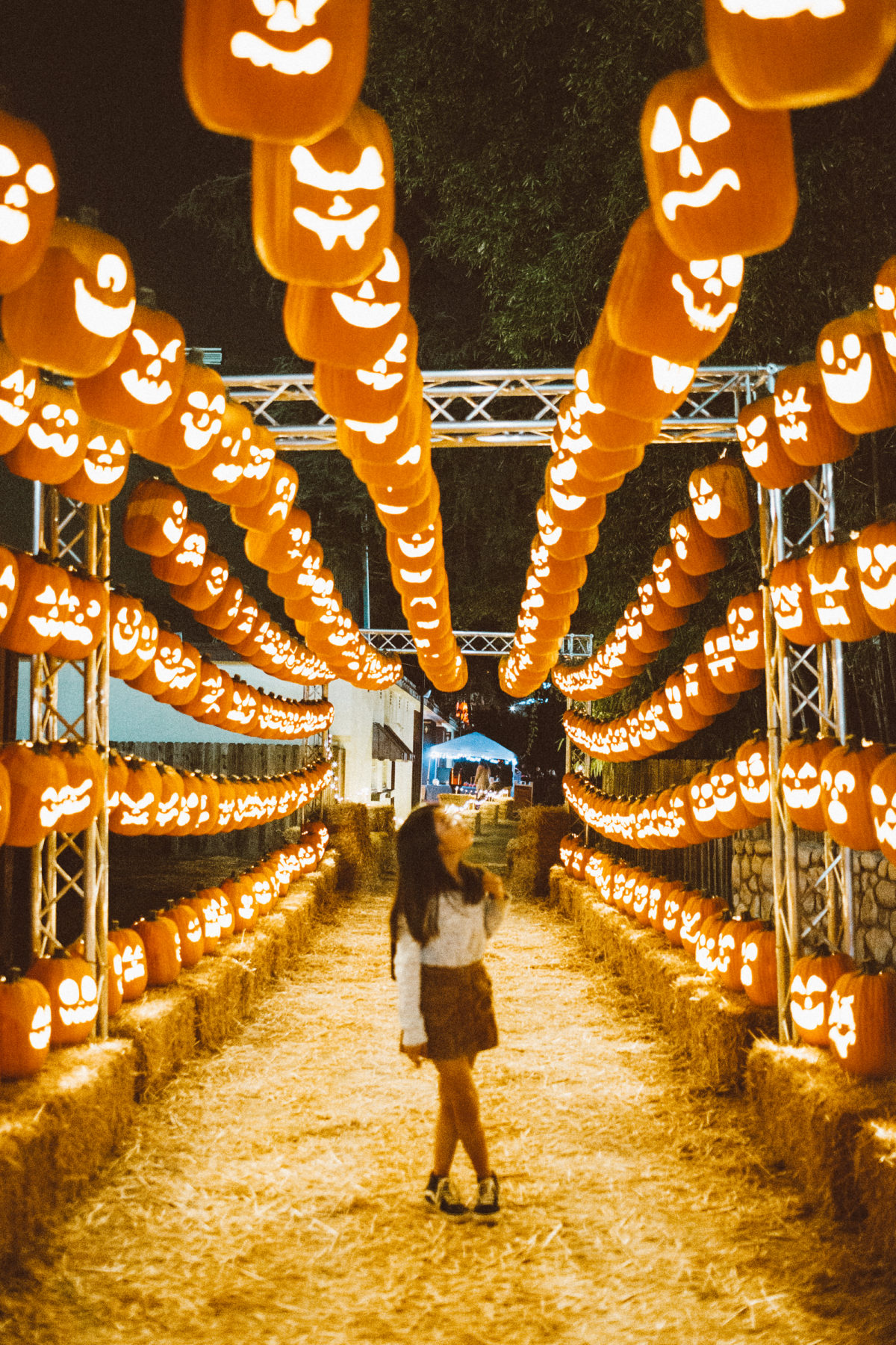 Pumpkin nights festival Halloween