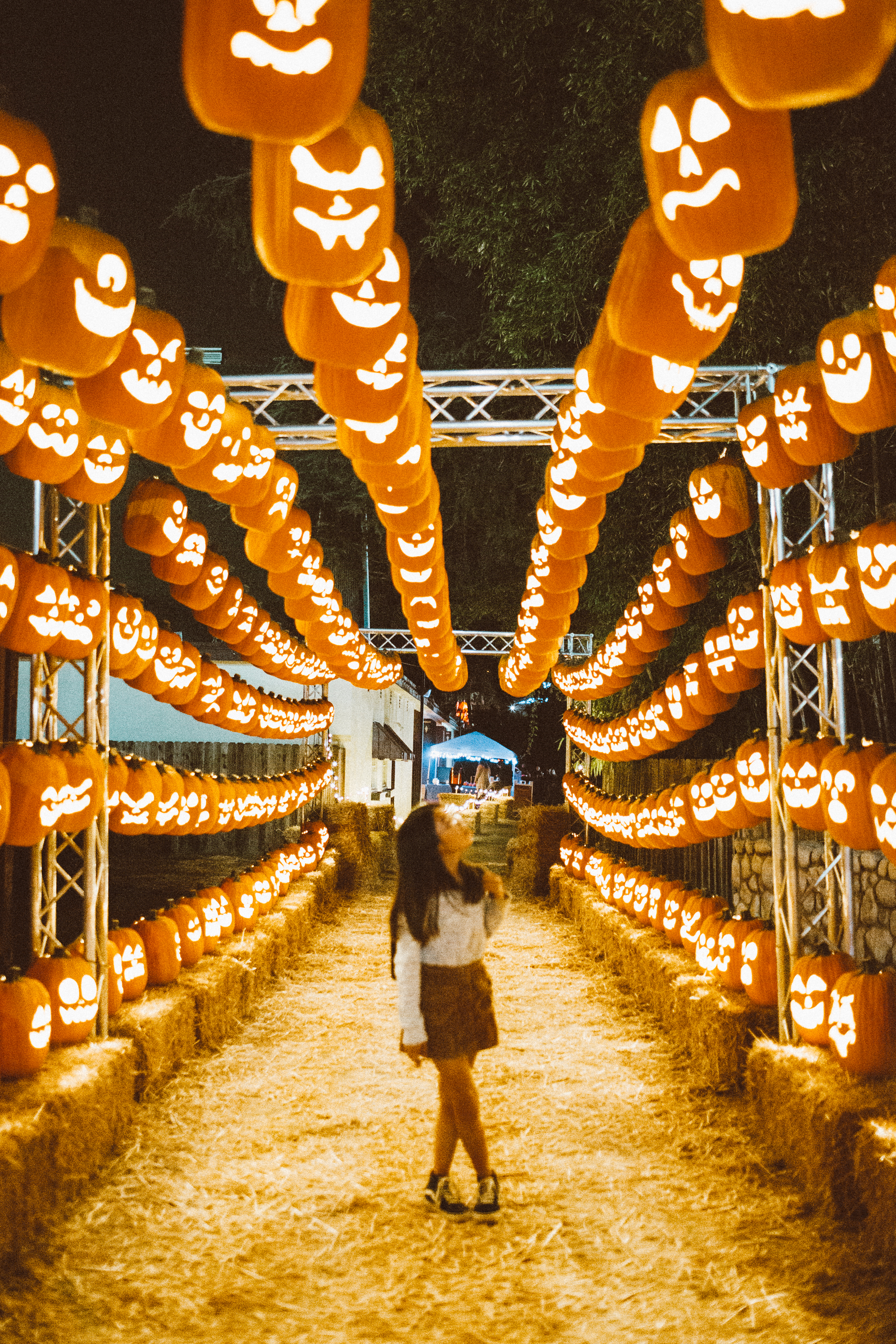 The Most Instagrammable Pumpkin Nights