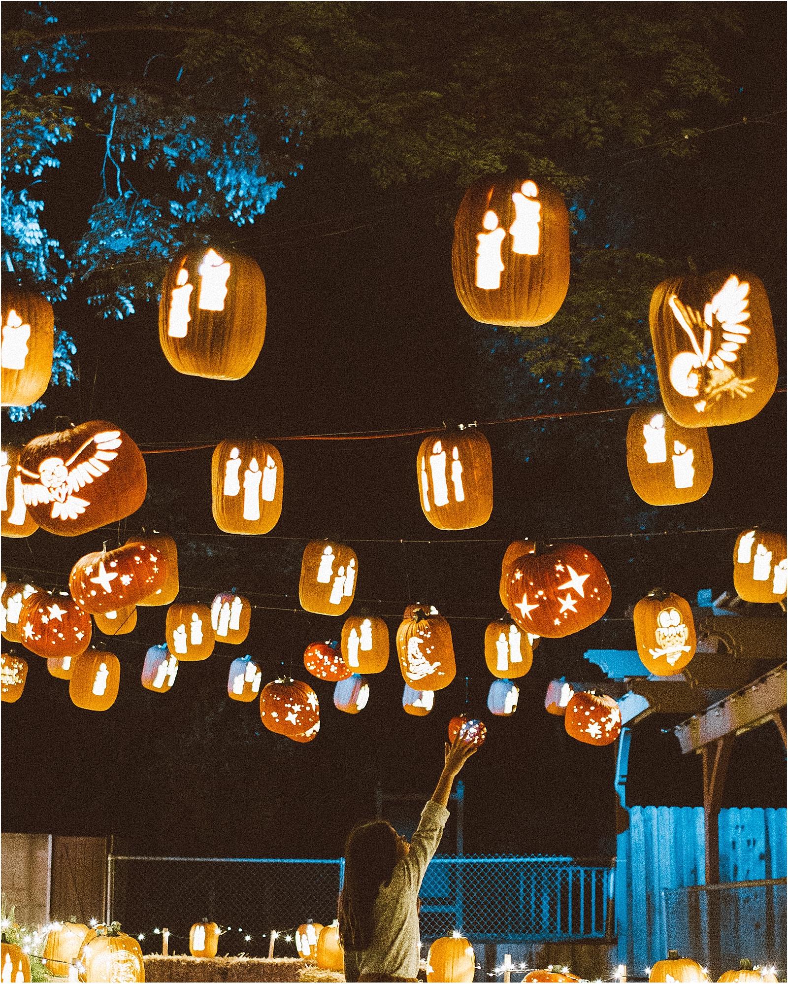 glowing pumpkin lanterns