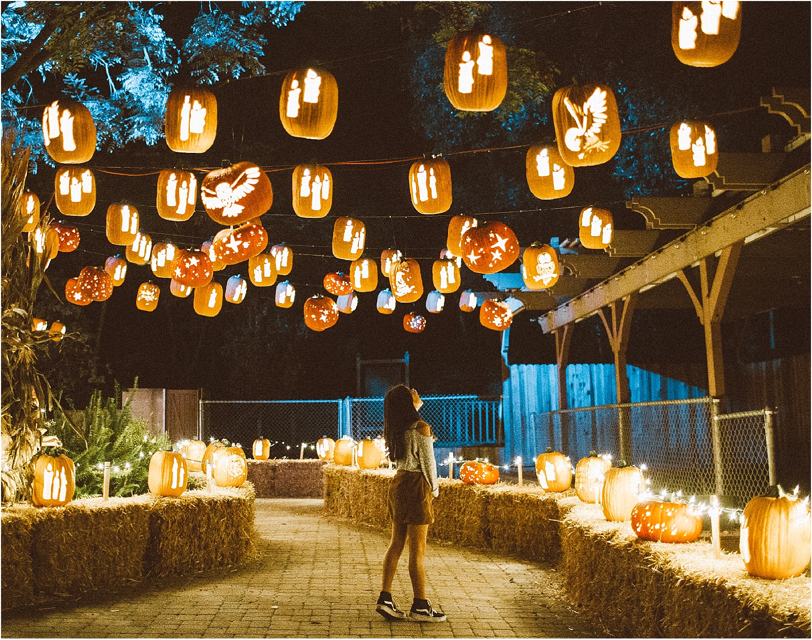 Halloween Festival pumpkin nights