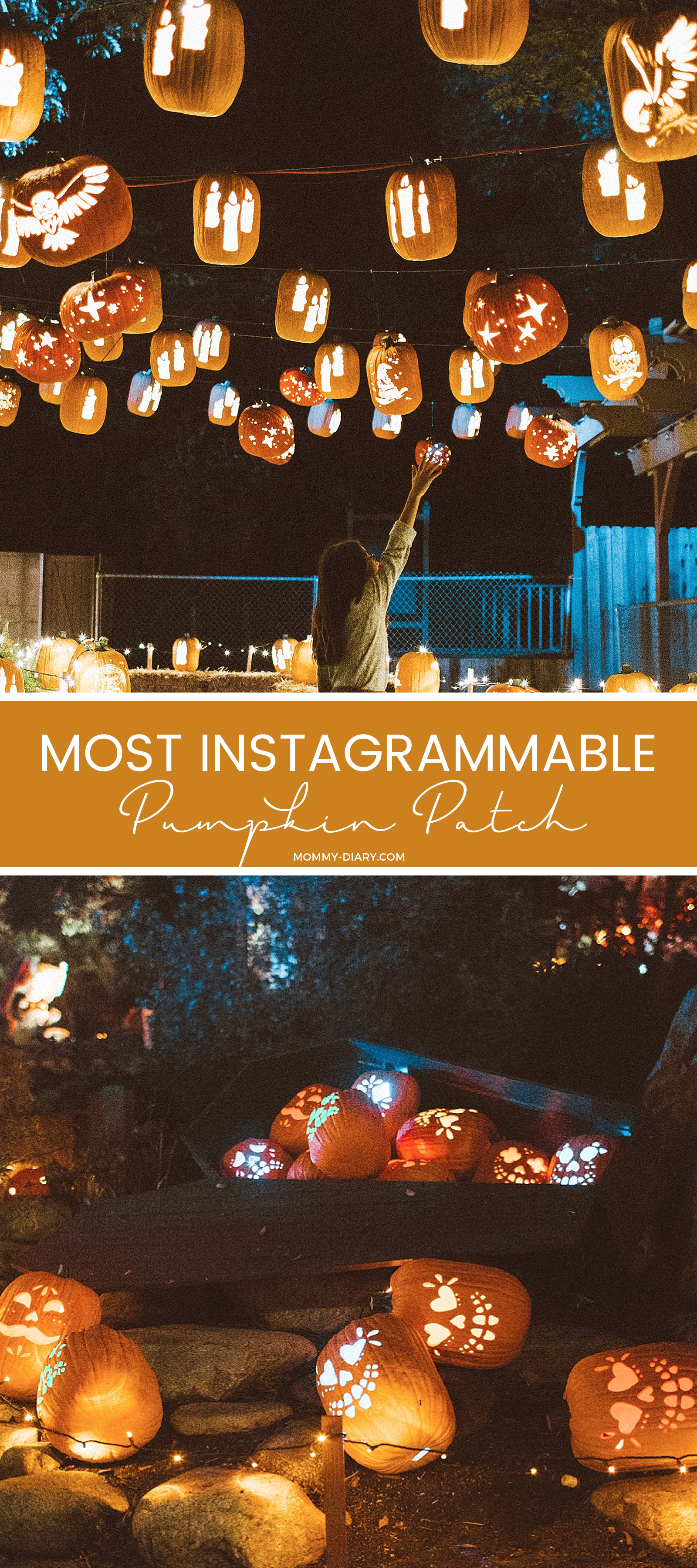 The Most Instagrammable Pumpkin Nights