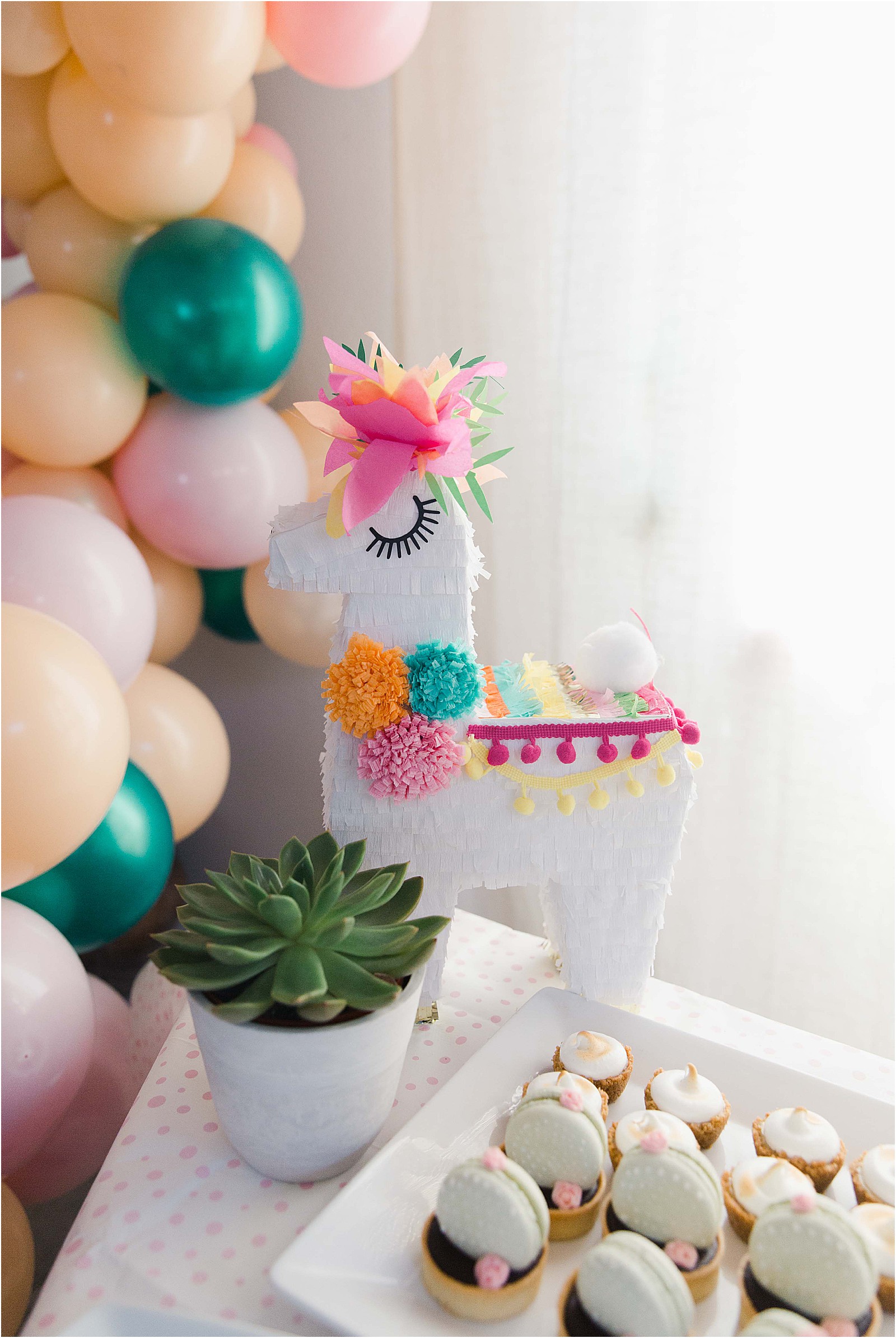 Llama and Cactus party themes