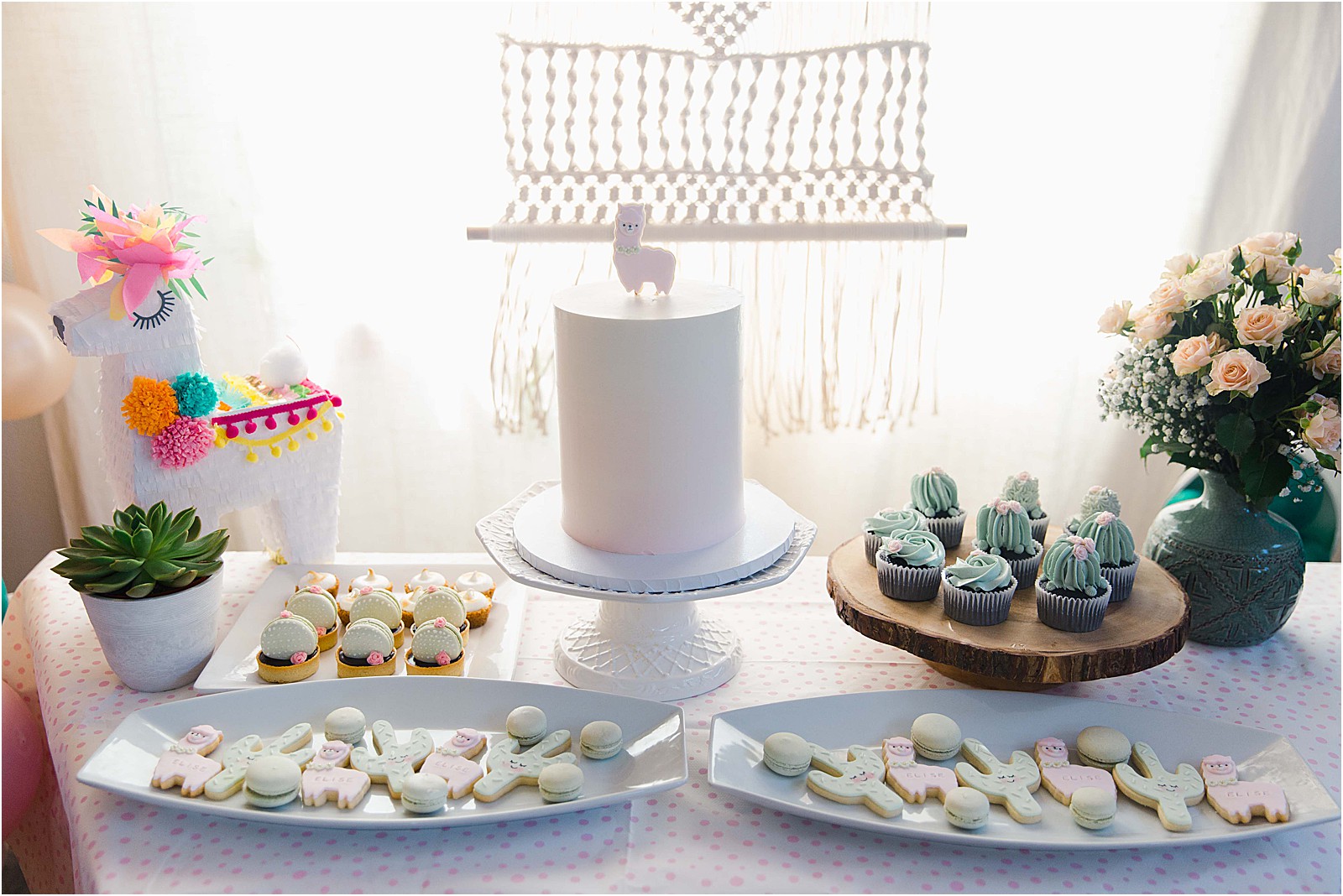 Llama and Cactus party inspiration