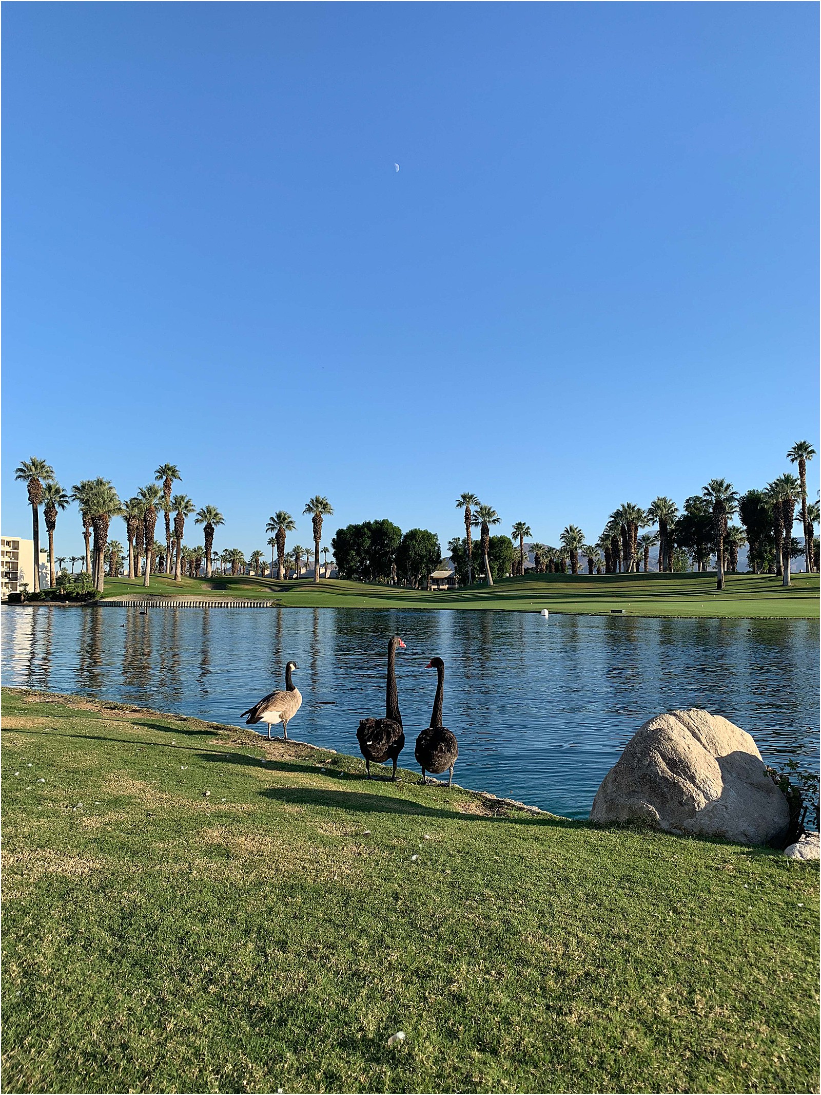 JW-Marriott-Desert-Springs-Family-Travel_0068