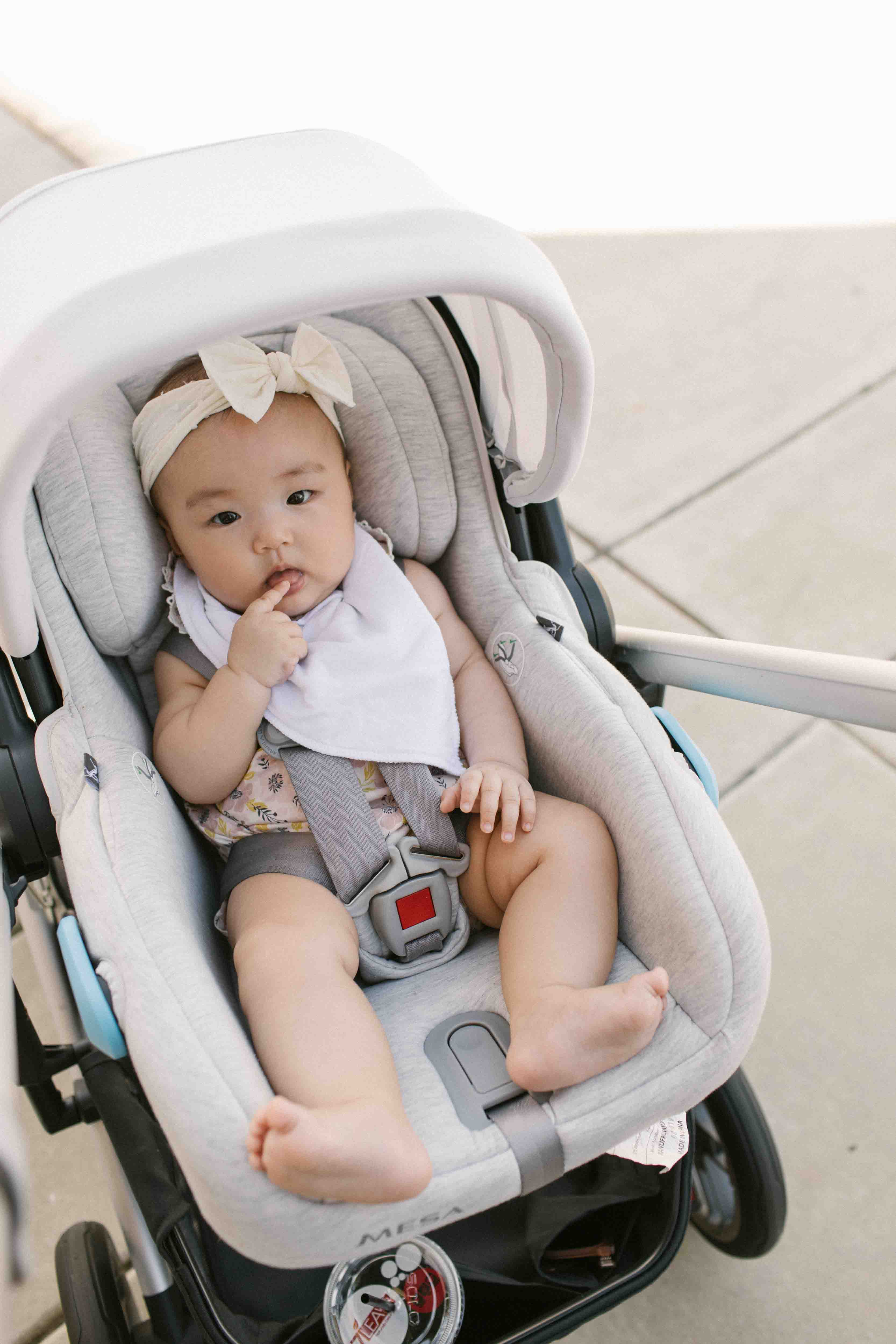 Uppababy cruz hot sale newborn