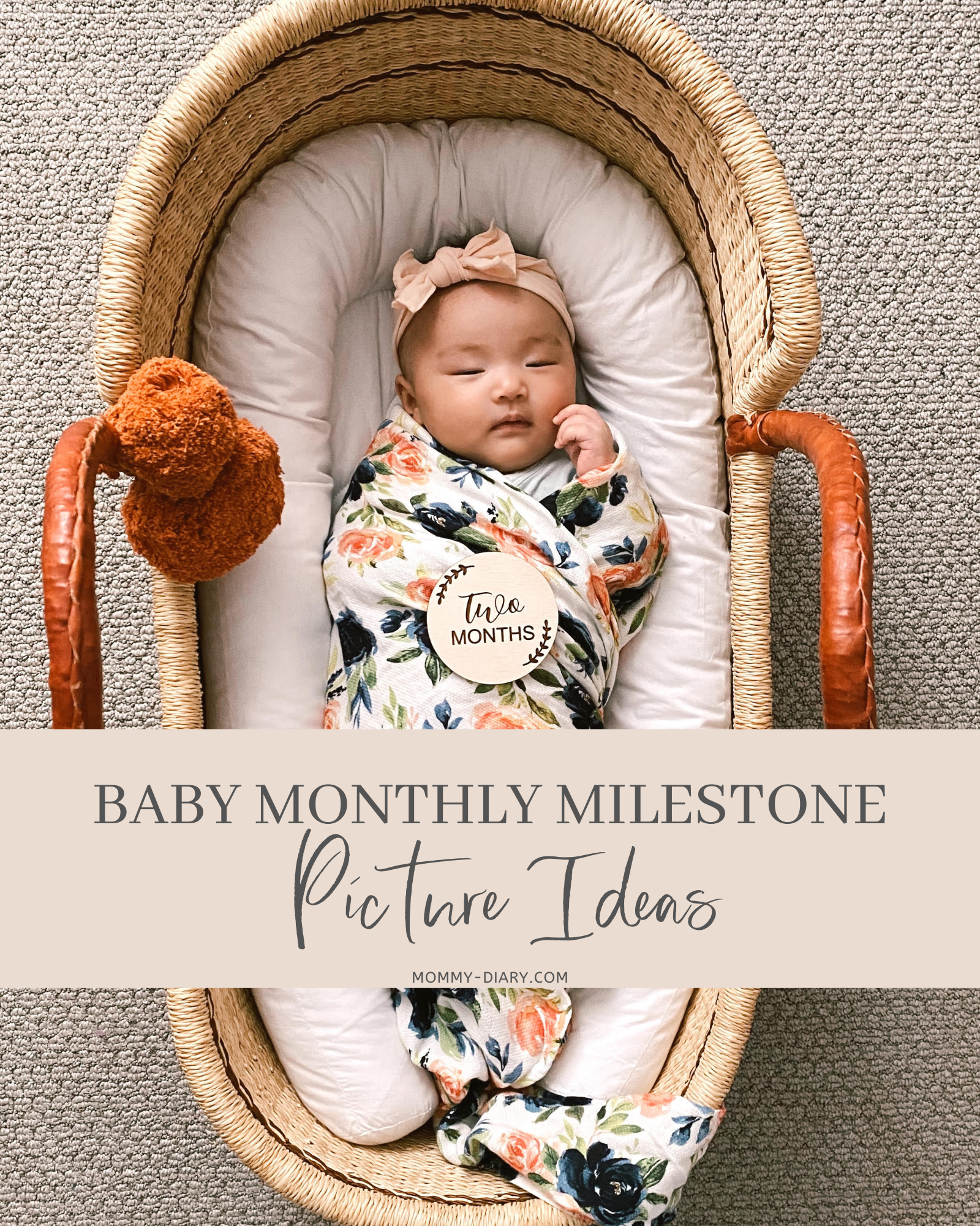 Baby Monthly Milestone Picture Ideas