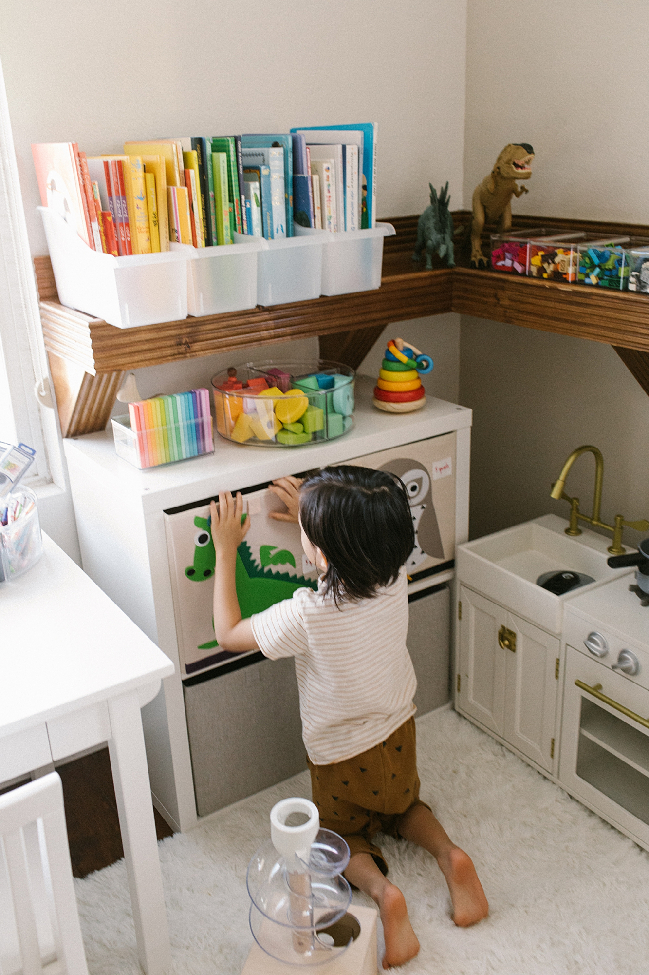 5 Creative & Easy Tips for Organizing Kids' Toys - Tips That Work - Living  Well Mom