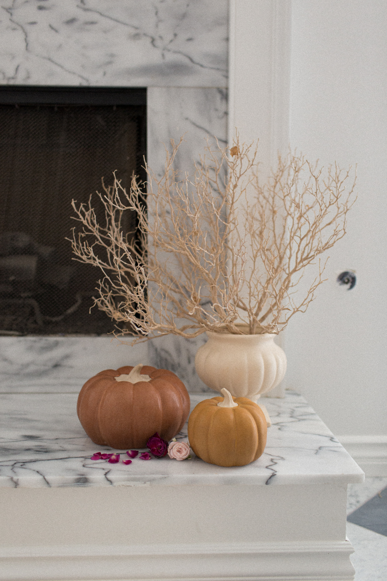 Pumpkins for fall decor