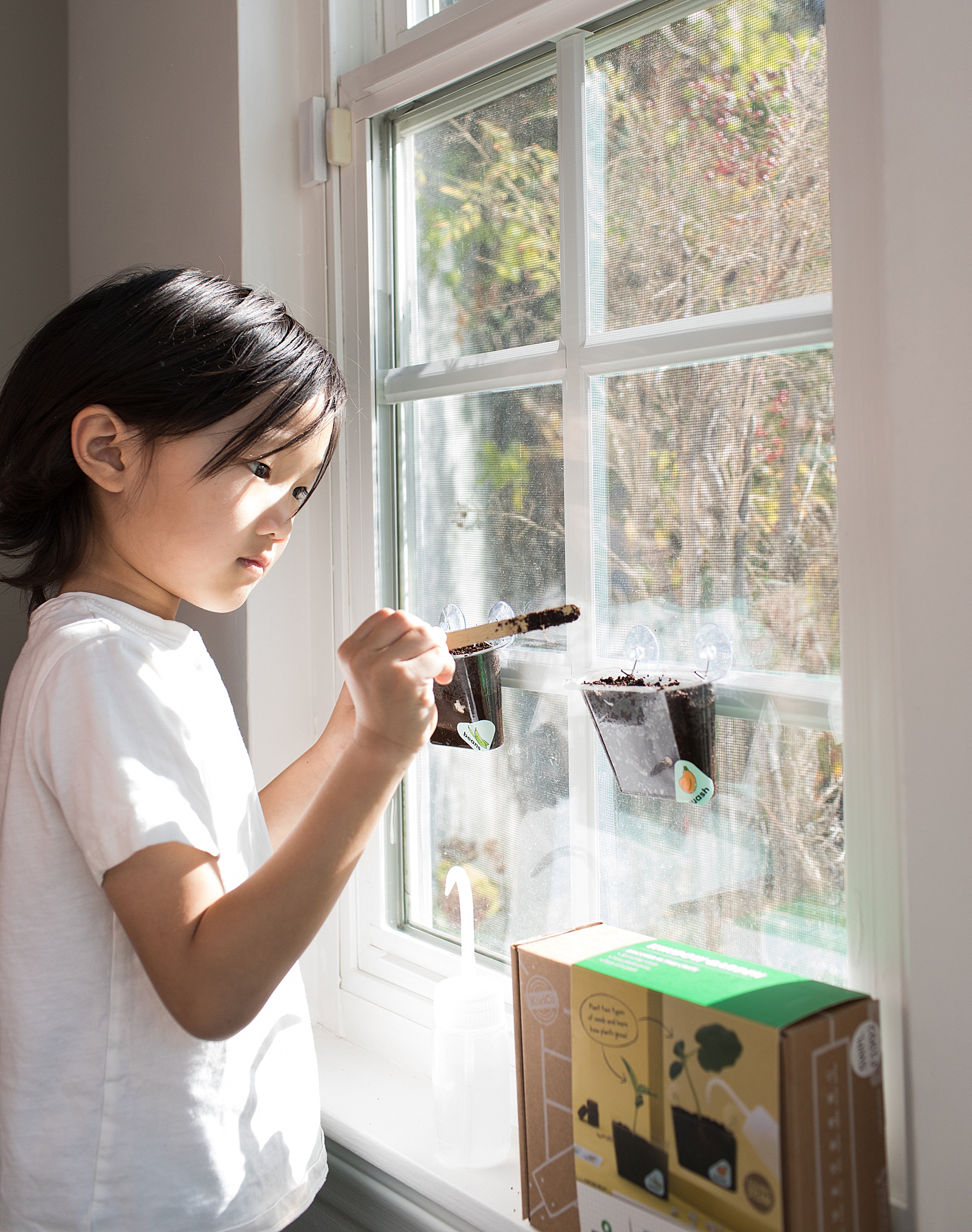 KiwiCo review DIY Window Garden