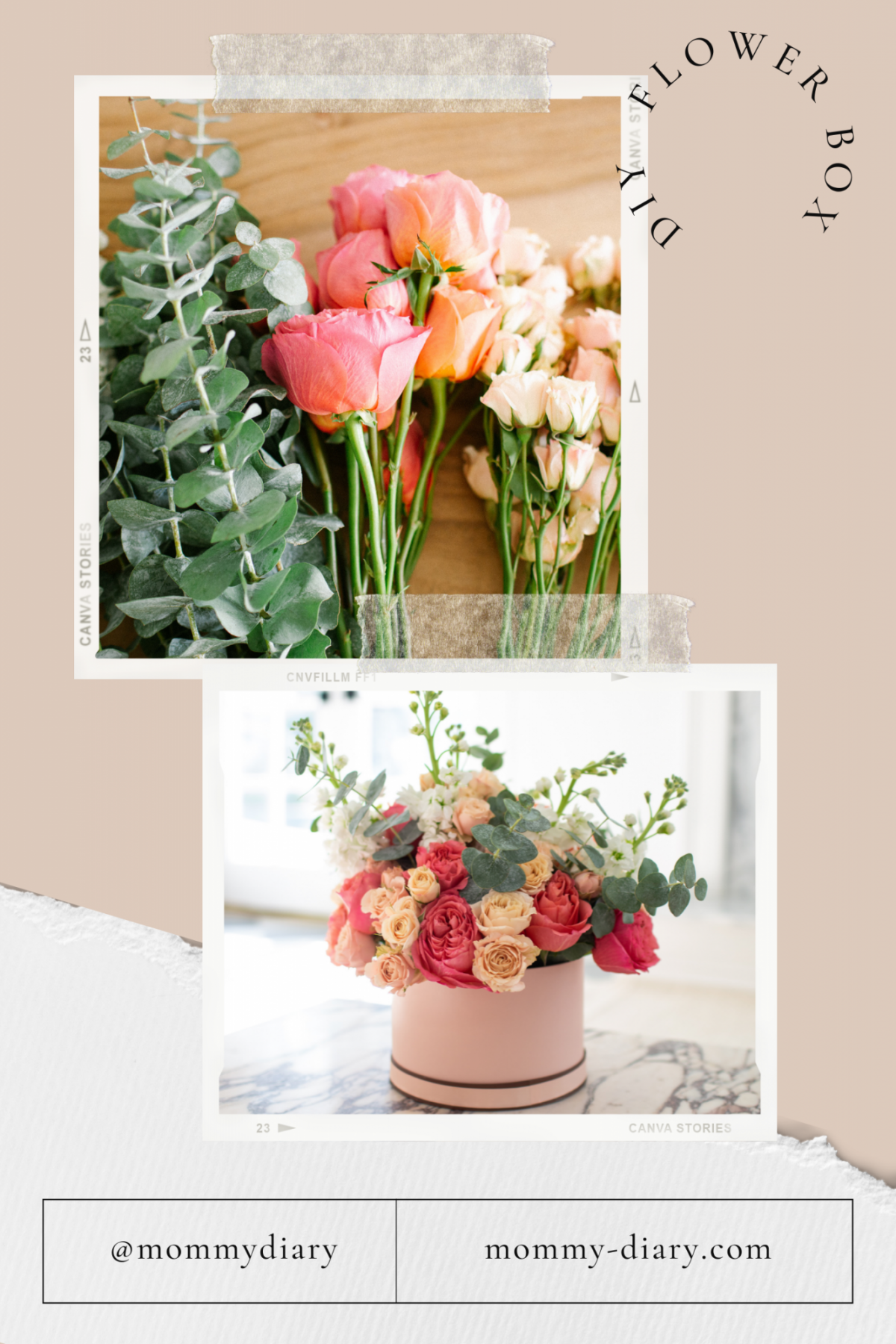 how to arrange a flower box