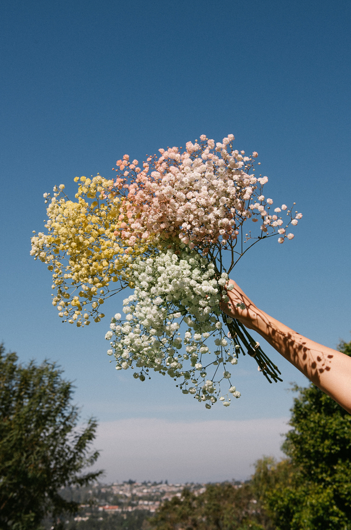 Spray painting baby's breath