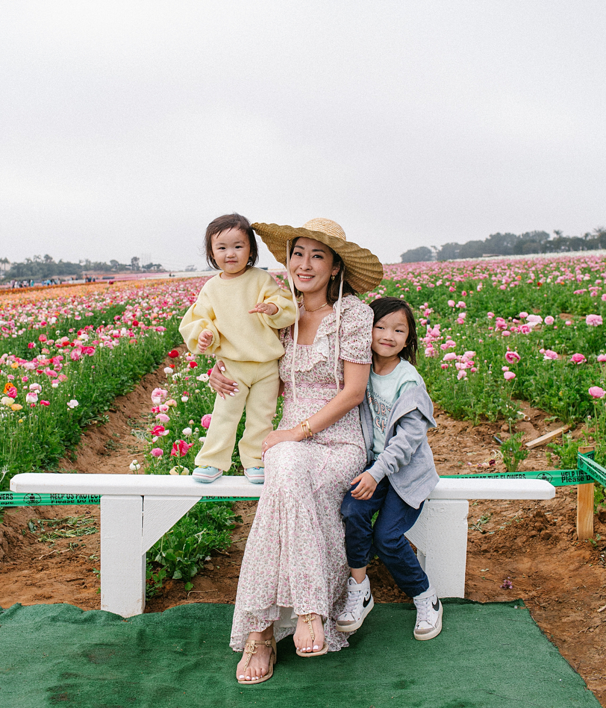 The Flower Fields Carlsbad photo rules