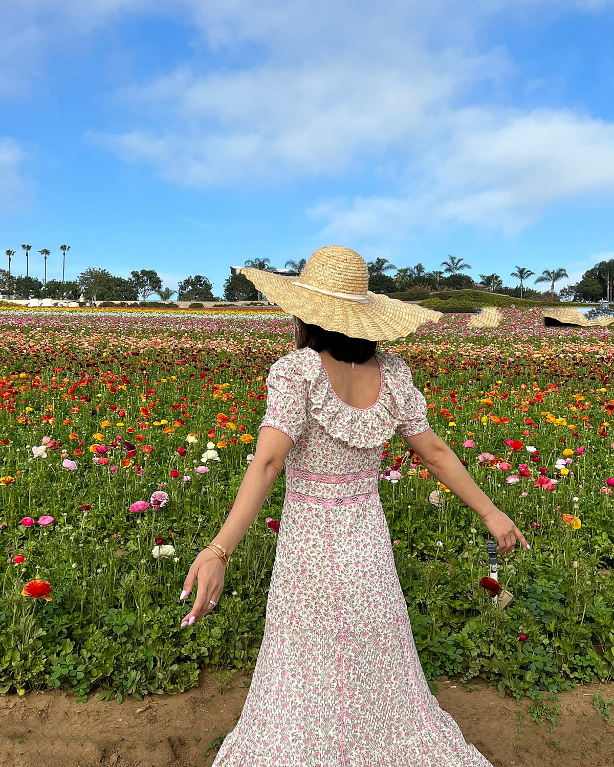 The Flower Fields Carlsbad photo spots