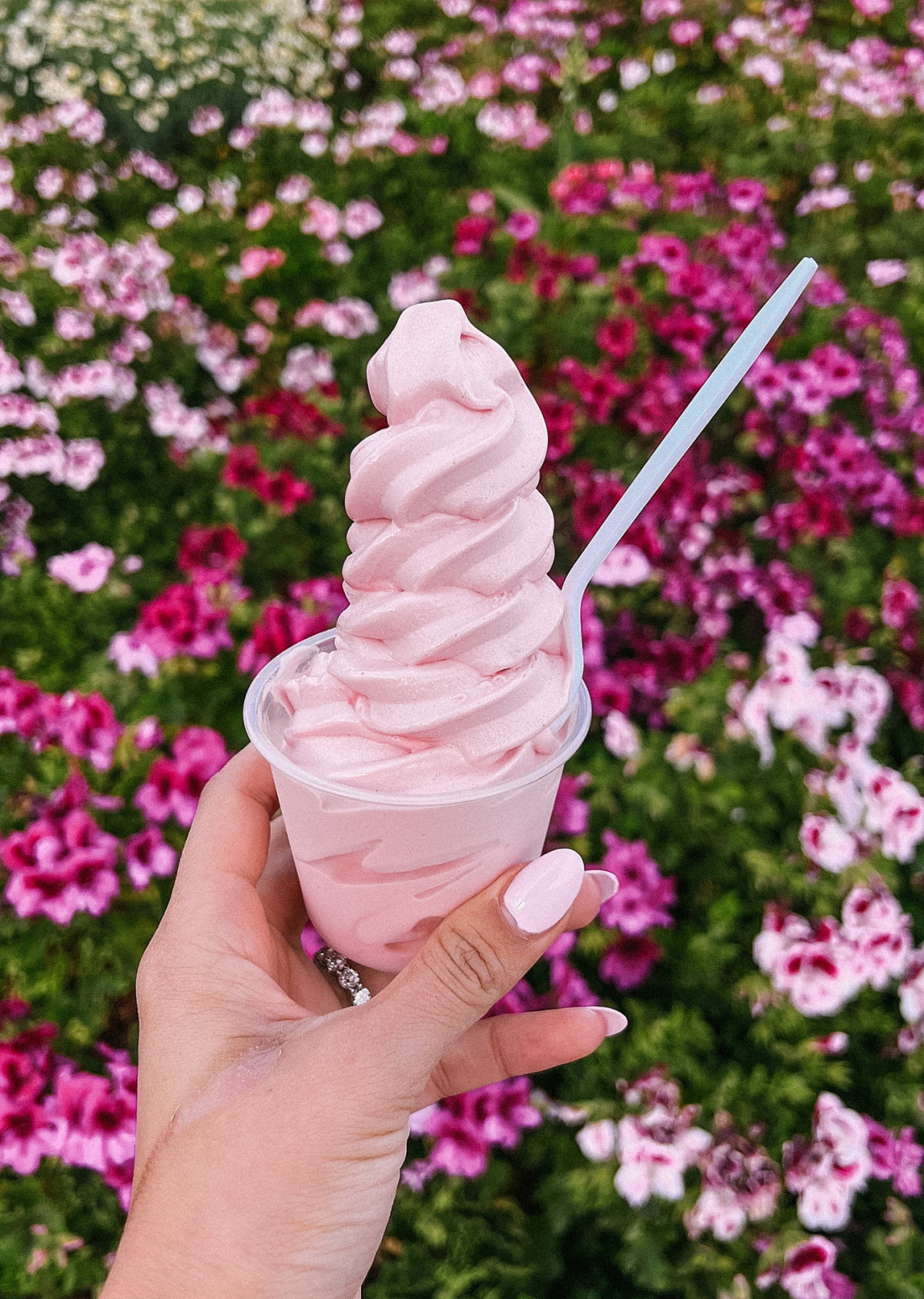 The Flower Fields Carlsbad strawberry Dole whip