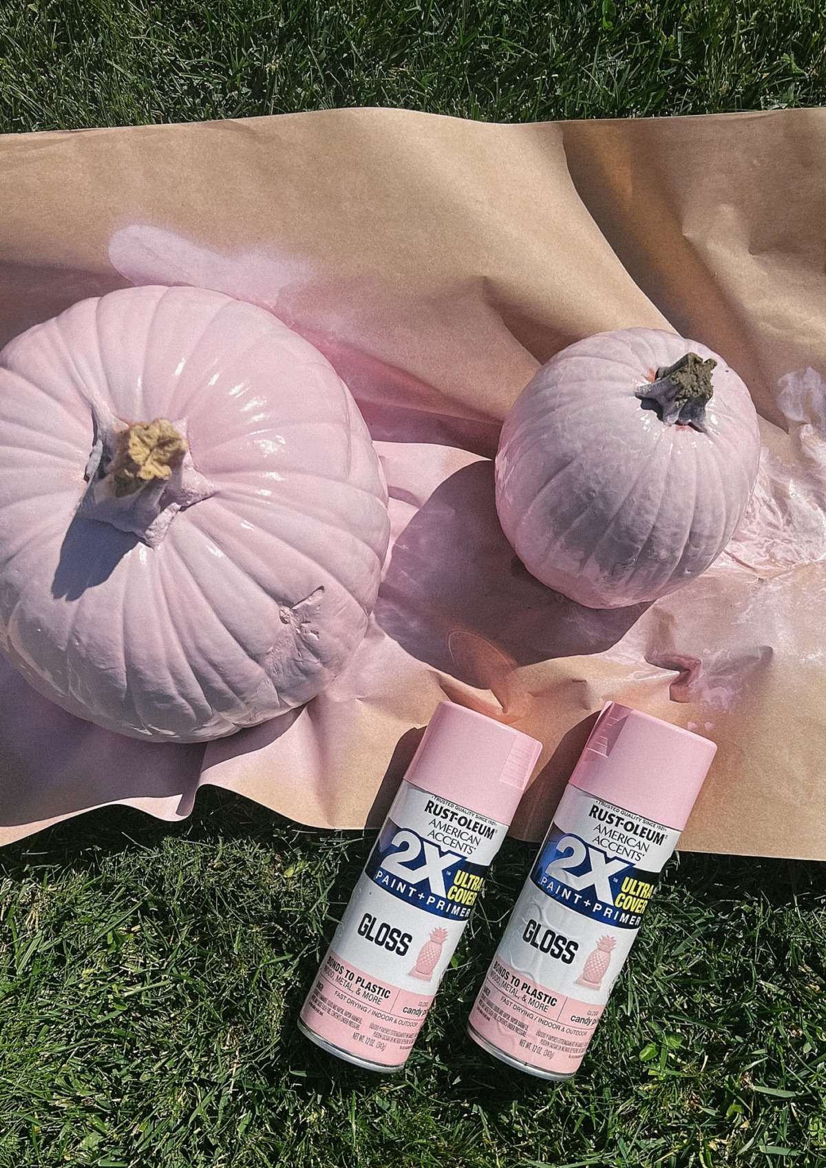 Pumpkins sprayed with pink paint