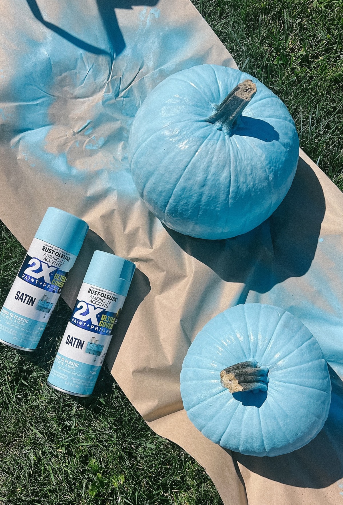 Pumpkins sprayed with blue paint