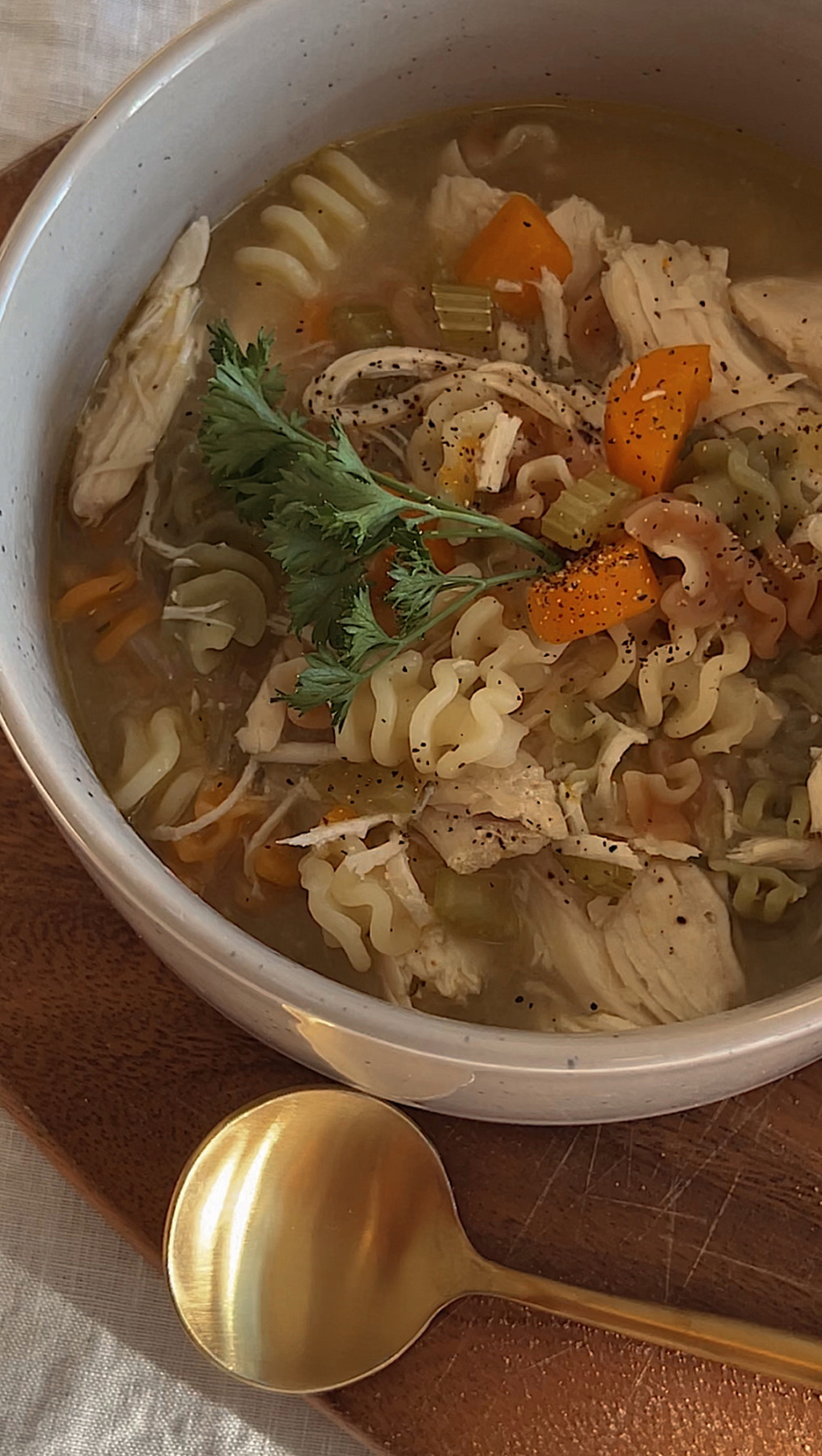 Chicken Noodle Soup in a bowl