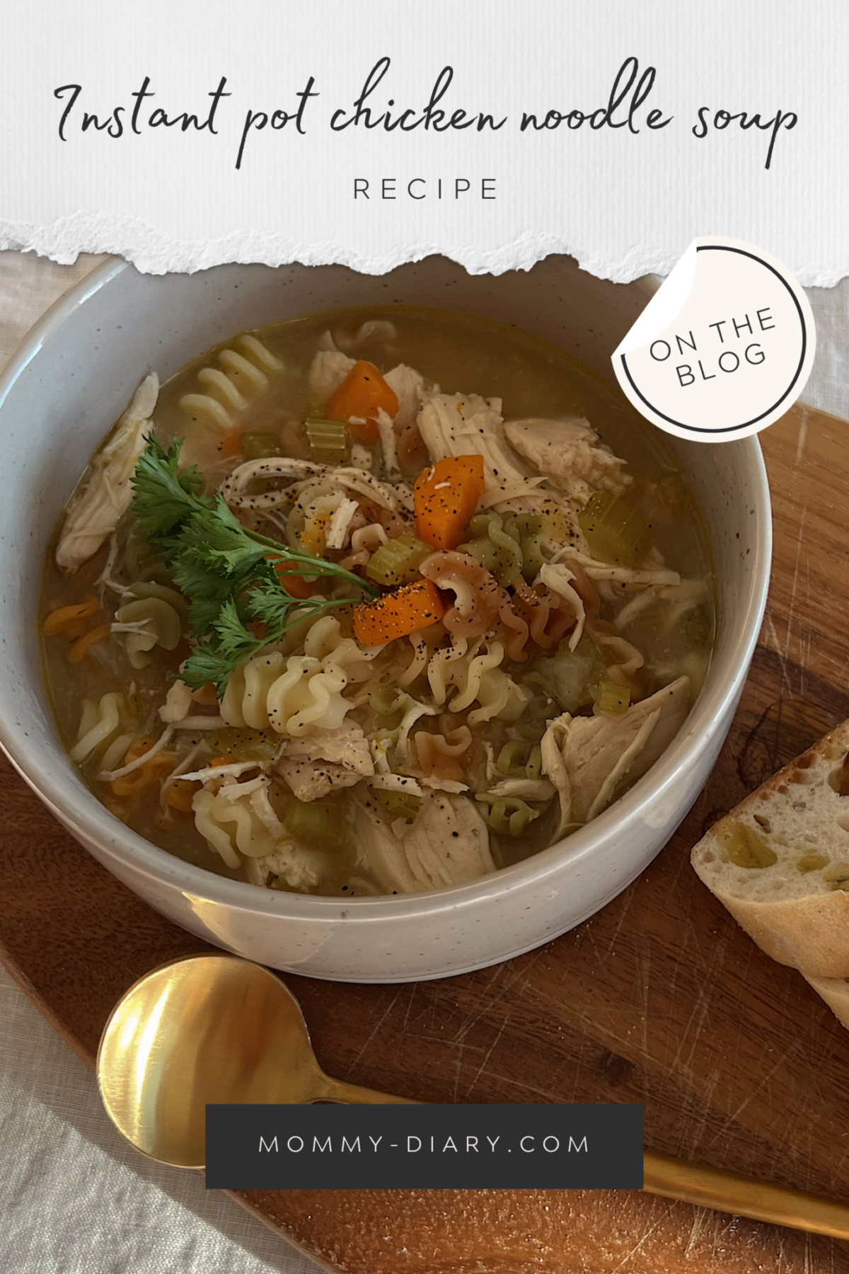 Instant Pot Chicken Noodle Soup Recipe